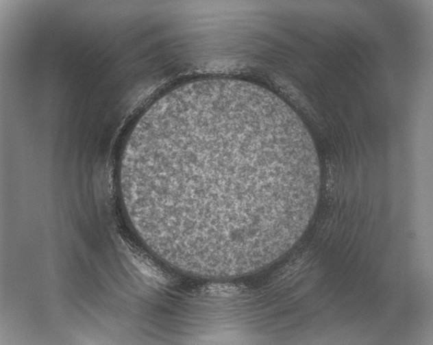 X0000063460636200602101715