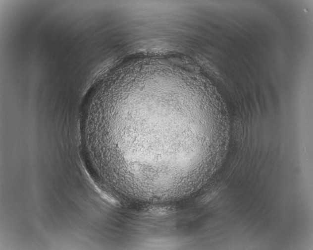 X0000063460638200602101715