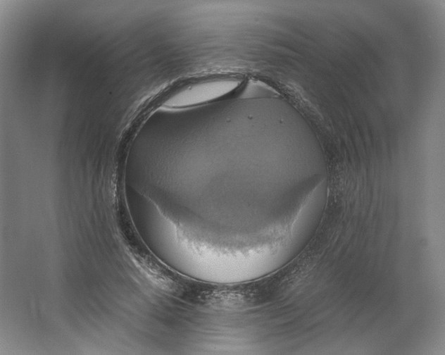 X0000063460640200602101715