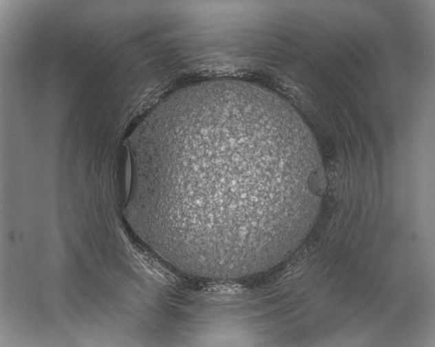 X0000063460642200602101715