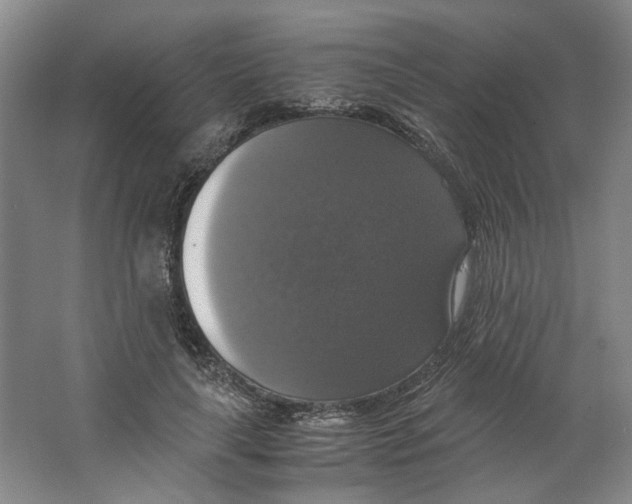 X0000063460643200602101715