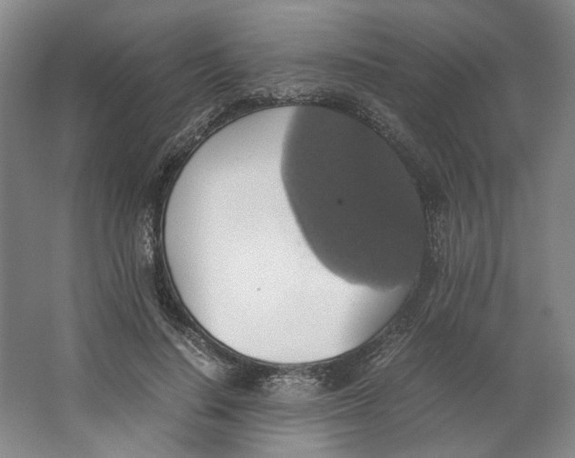 X0000063460644200602101715