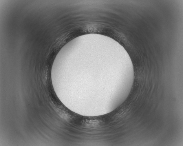 X0000063460645200602101715