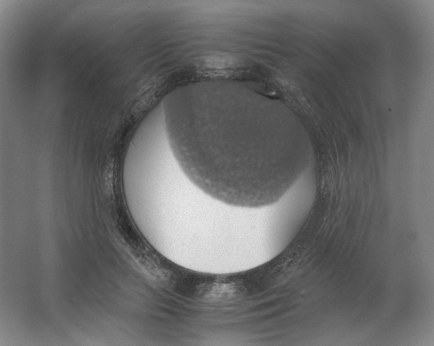 X0000063460647200602101715