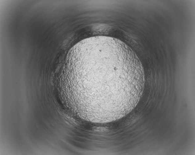 X0000063460649200602101715