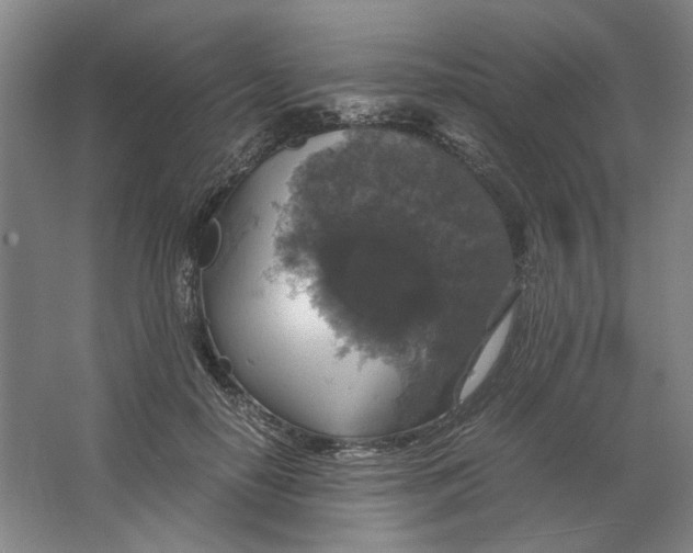 X0000063460650200602101715