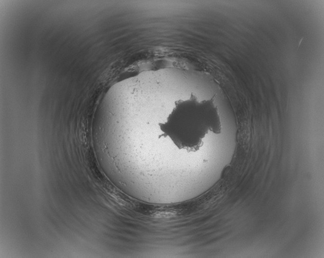 X0000063460653200602101716