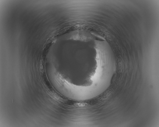 X0000063460654200602101716