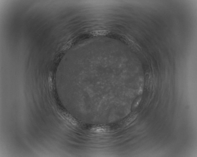 X0000063460655200602101716