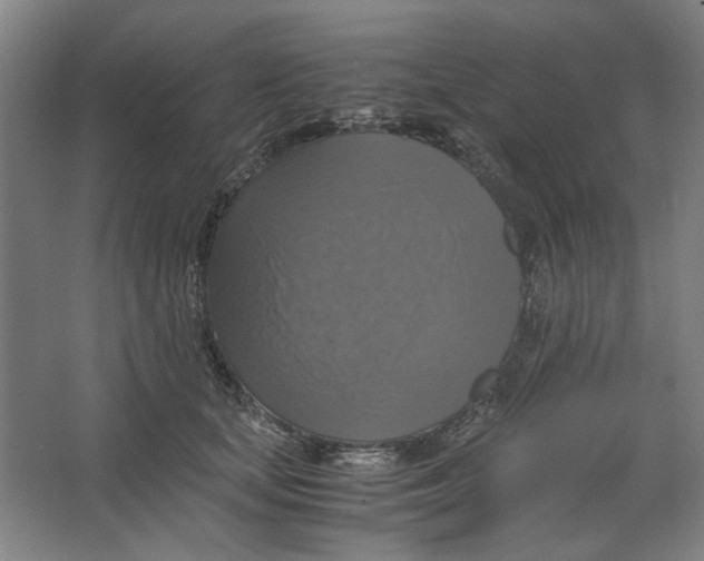 X0000063460659200602101716