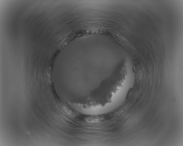 X0000063460661200602101716