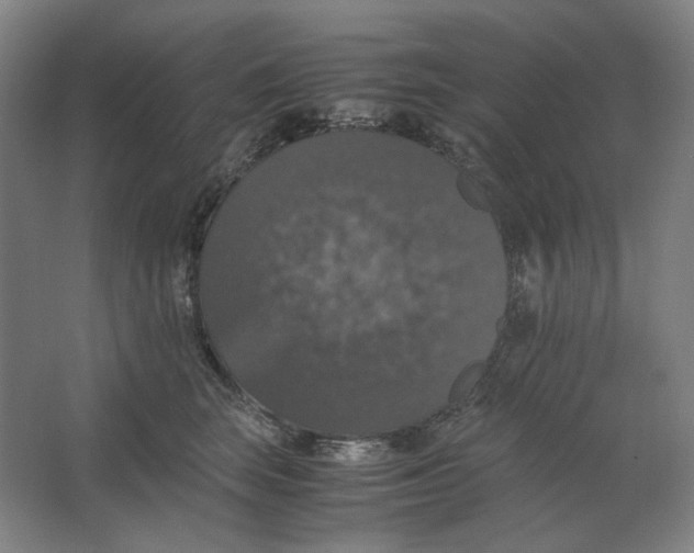X0000063460663200602101716