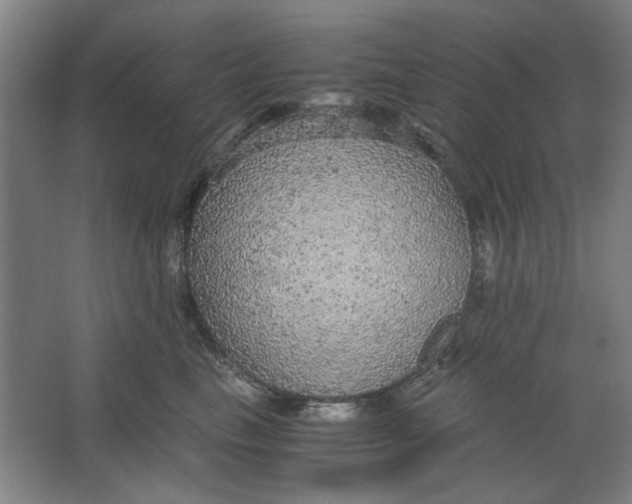 X0000063460665200602101716