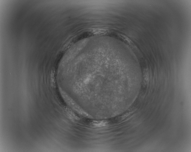 X0000063460667200602101716
