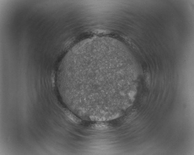 X0000063460668200602101716