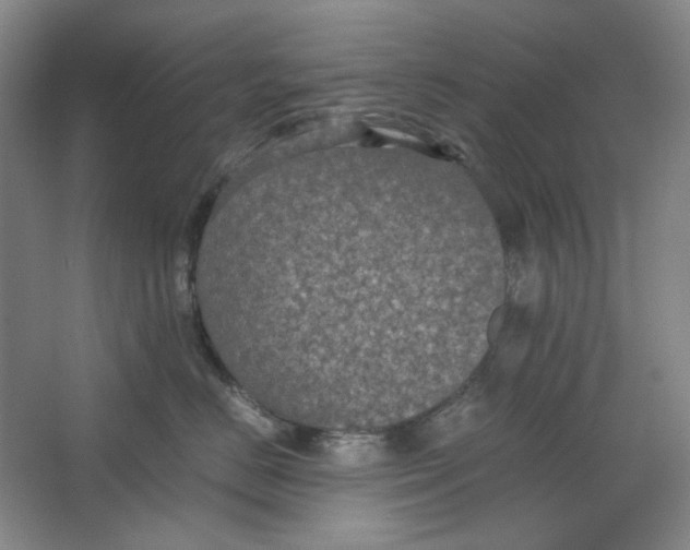 X0000063460670200602101716