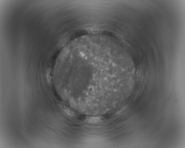 X0000063460671200602101716