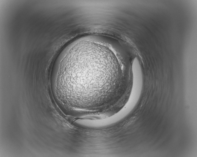 X0000063460673200602101715