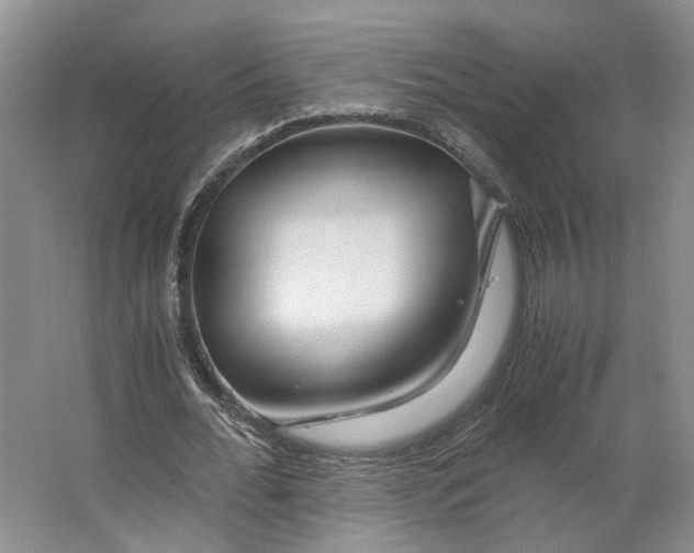 X0000063460676200602101715