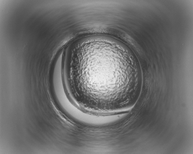 X0000063460677200602101715