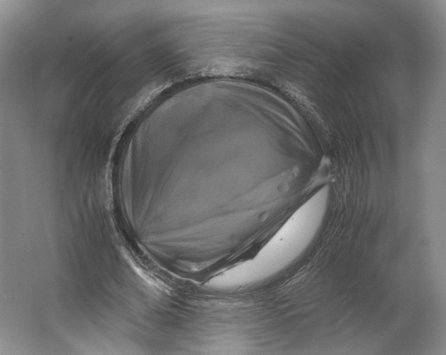 X0000063460678200602101715