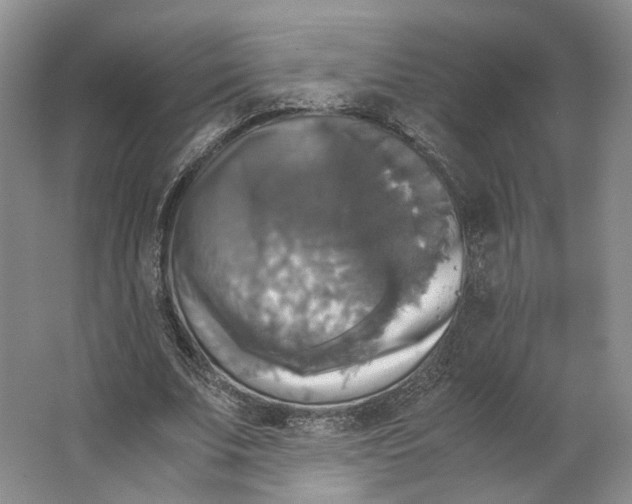 X0000063460679200602101715