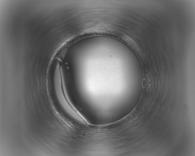 X0000063460680200602101715