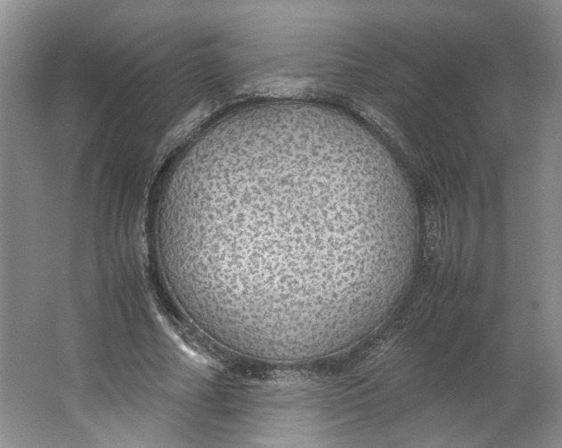 X0000063460682200602101715