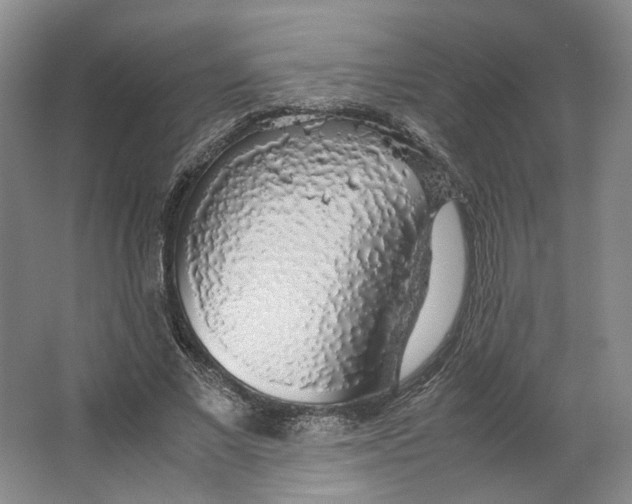 X0000063460685200602101715