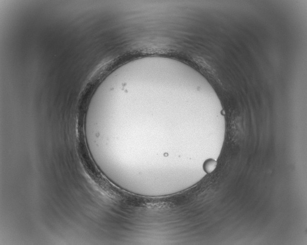 X0000063460686200602101715