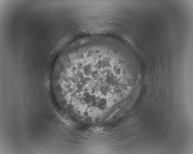 X0000063460687200602101715