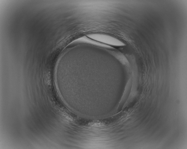 X0000063460689200602101715