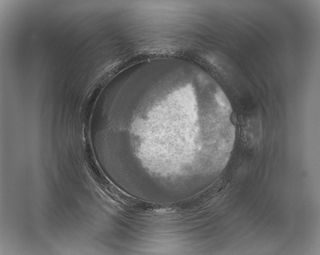 X0000063460692200602101715