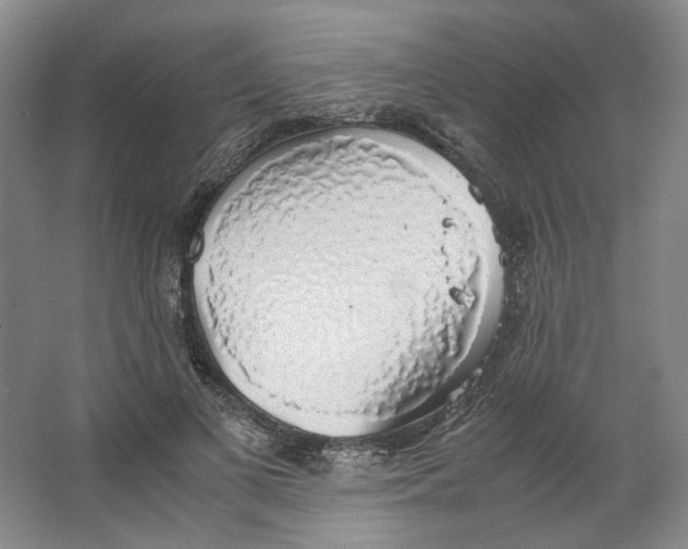 X0000063460693200602101715