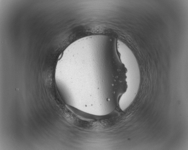 X0000063460697200602101715