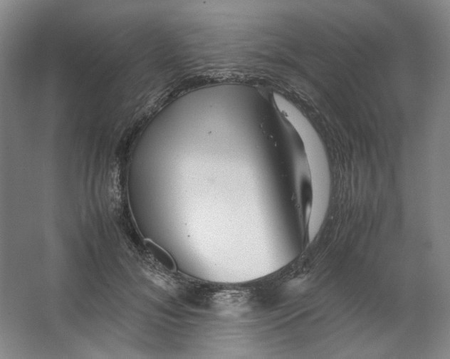 X0000063460700200602101715