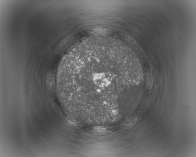 X0000063460701200602101715