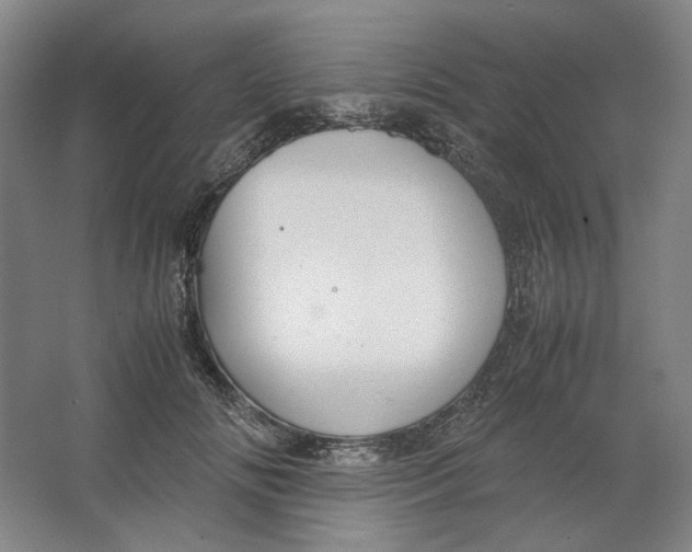 X0000063460702200602101715
