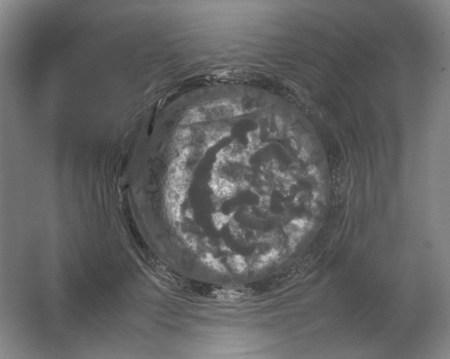 X0000063460703200602101715