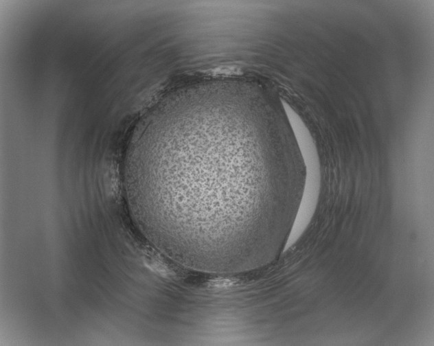 X0000063460704200602101714