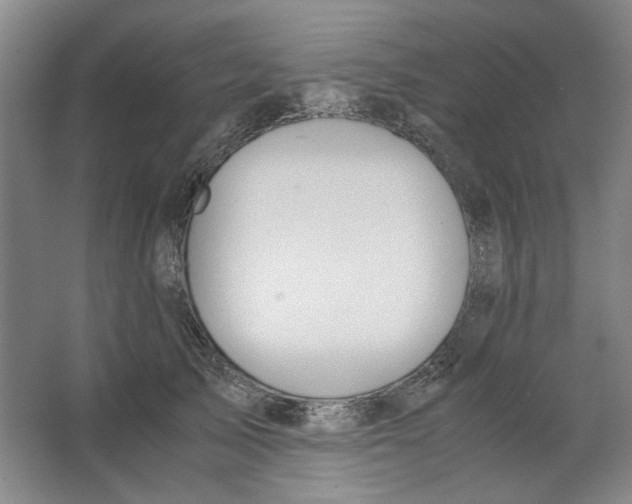 X0000063460705200602101714