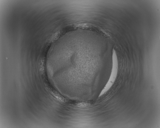 X0000063460708200602101714