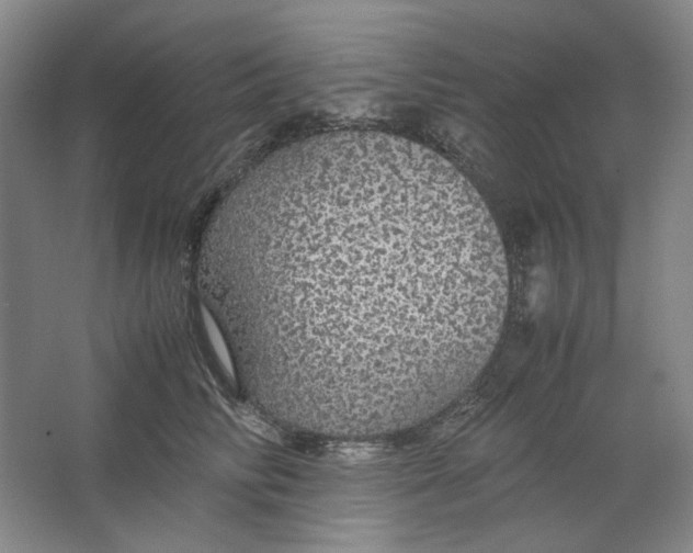 X0000063460710200602101714