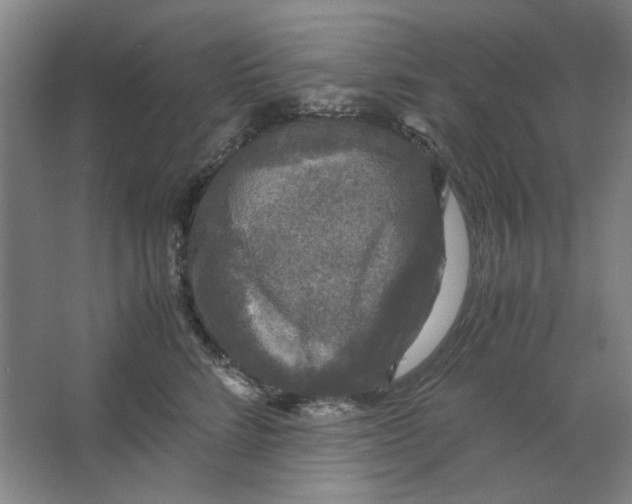 X0000063460712200602101714