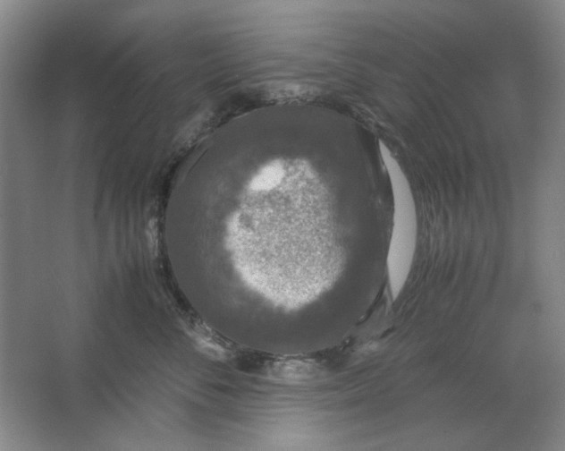 X0000063460716200602101714