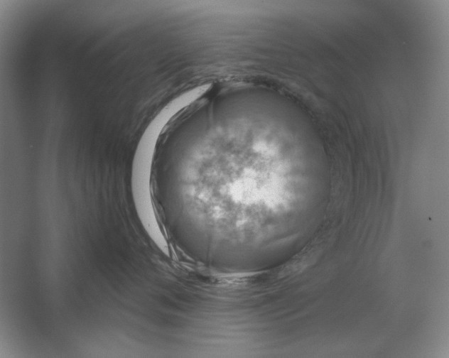 X0000063460720200602101714