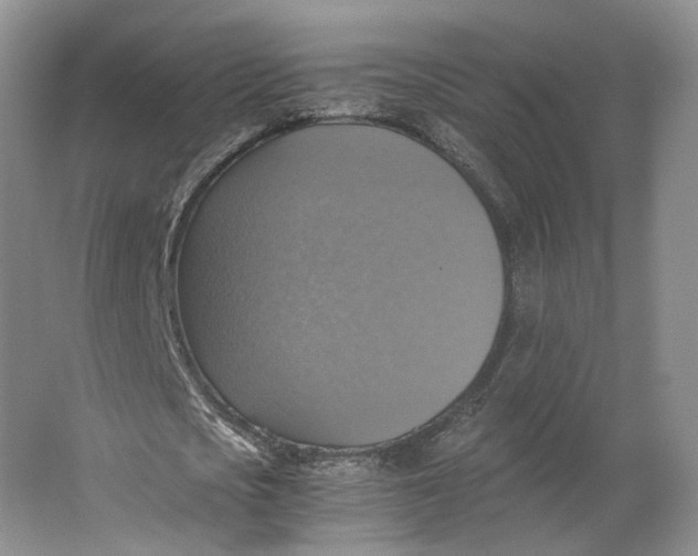X0000063460721200602101713