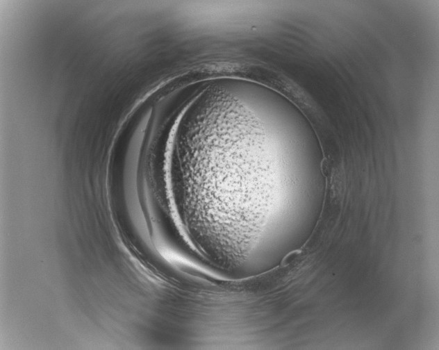 X0000063460722200602101713
