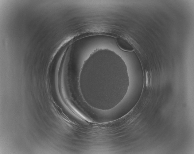 X0000063460723200602101713