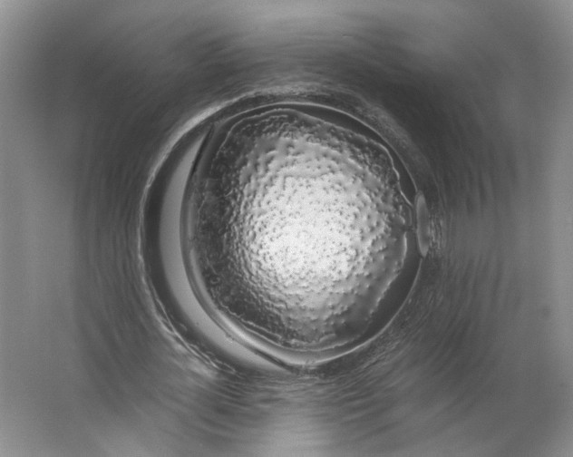 X0000063460724200602101713